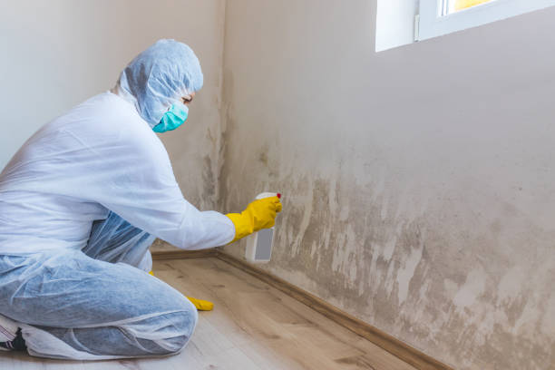Bathroom Mold Removal assessment in Waverly bathroom